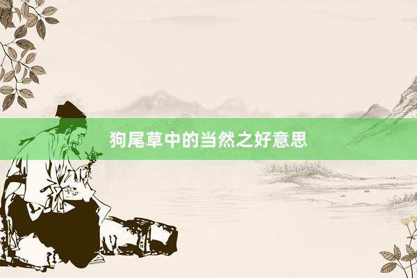 狗尾草中的当然之好意思