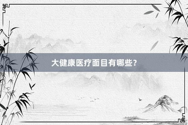 大健康医疗面目有哪些？