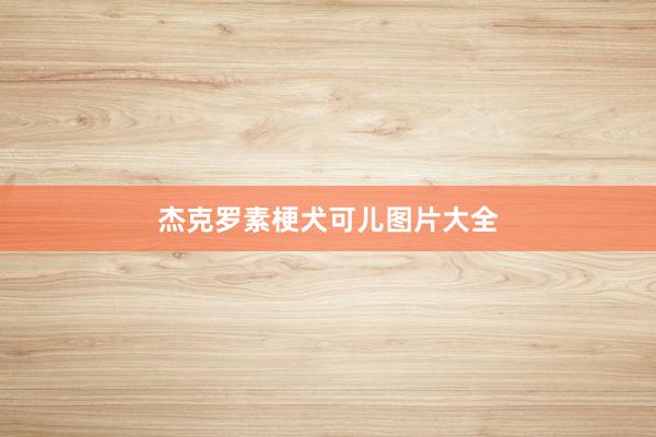 杰克罗素梗犬可儿图片大全