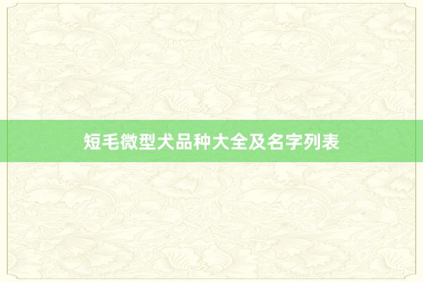 短毛微型犬品种大全及名字列表