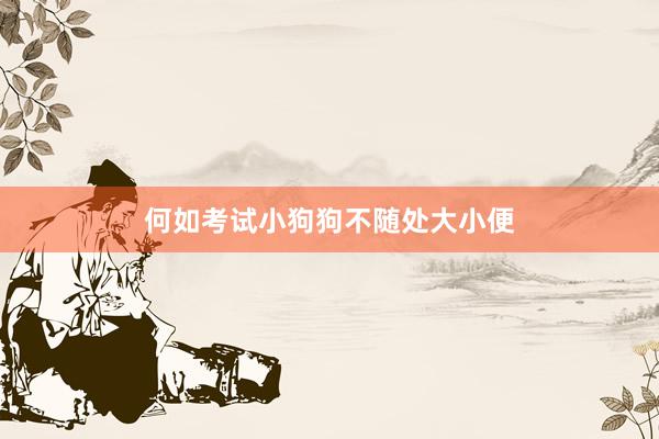 何如考试小狗狗不随处大小便