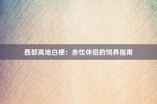 西部高地白梗：赤忱伴侣的饲养指南