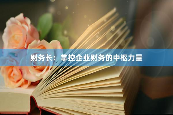 财务长：掌控企业财务的中枢力量