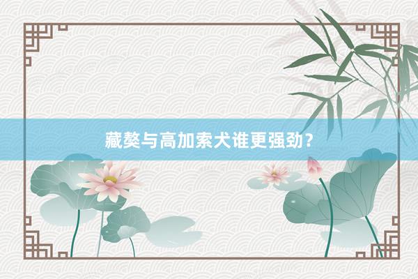 藏獒与高加索犬谁更强劲？